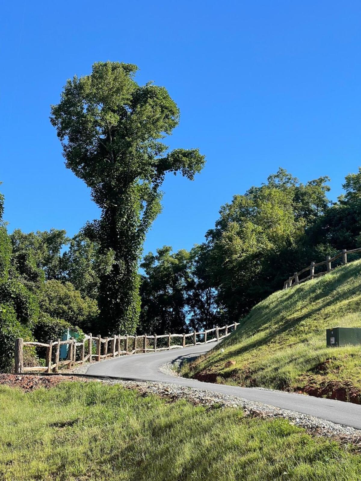 Twin Oaks Cabin Bryson City Ngoại thất bức ảnh